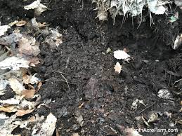 We did not find results for: How To Improve Clay Soil In 6 Steps Tenth Acre Farm