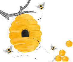 Von altersvorsorge über girokonto bis versicherung: Bee Waller Westerwald Bank Eg Volks Und Raiffeisenbank