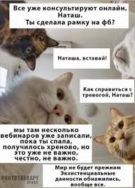 Check spelling or type a new query. Memy Natasha Vstavaj Samye Smeshnye Kartinki