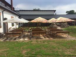 Image result for monika babi%u0161ov 