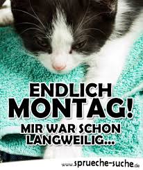 Sprüche Wochenende Vorbei Endlich Montag Mir War Schon Langweilig