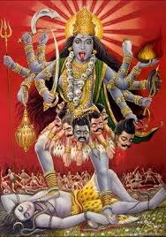 Image result for kali