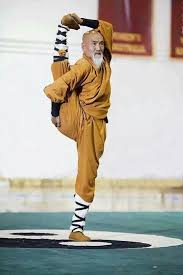 Pin By Nicoli De Souza On My Gym Shaolin Monks Martial Arts Shaolin Kung Fu