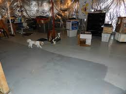 This will help with their balance. Removing The Water From My Flooded Basement Ugh Make It Or Fix It Yourself