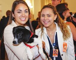 Highlights from 2016 of Coming to Their Rescue