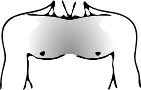 Chest hair growth on women is not as common as you see with men. Chest Hair Wikipedia