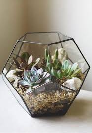 Terrarium Element Naturel Decoratif Succulentes Terrarium De Plantes Grasses Succulent