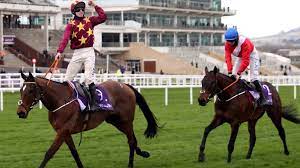 The cheltenham gold cup is the most distinguished race of the entire national hunt season and the highlight of the biggest betting event of the year; 8bmcoxf Dpzwkm