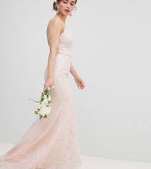 Chi Chi London Petite Bridal Premium Lace Maxi Dress With Fishtail Applique Wedding Dress Column Wedding Dress Expensive Wedding Dress
