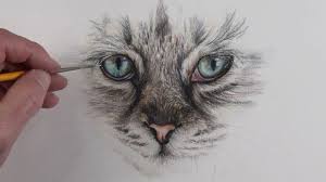 Schizzo Di Un Gatto Disegnare Con La Matita Disegni Belli Ma Facili Disegni A Matita Disegni A Matita Facili Disegni