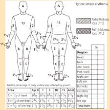 The Management Of Minor Burns And Scalds In Children