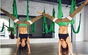 Check spelling or type a new query. 11 Essential Aerial Yoga Poses To Learn Today Aerial Yoga Zone