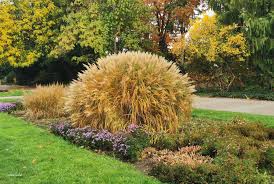 Bunter Garten Botanischer Garten Deinmg