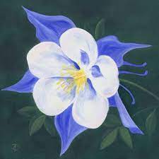 Pin On Columbine