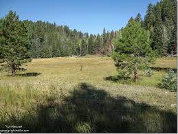 Foto Friday Fun 408: every picture tells a story