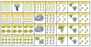 Square Foot Garden Chart Square Foot Gardening Planner Square Foot Gardening Square Foot Gardening Layout