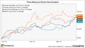 These Marijuana Stocks Have Doubled So Far In 2019 The