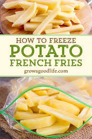 How To Freeze Potato French Fries Recipe Frozen Potatoes Frozen French Fries Homemade French Fries