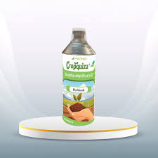 Image result for Dinebra retroflexa