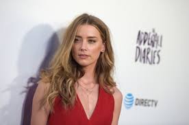 We want to hear what you have to say but need to verify your email. Amber Heard Net Worth Celebrity Net Worth