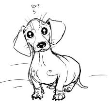 Black And White Dachshund Drawing Pin By Meagan Chastain Coyle On Snapbacks And Tattoos Dachshund Art Dachshund Drawing Dog Drawing