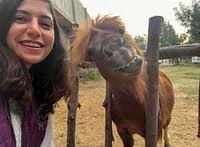 Africa Safari Park (2025)