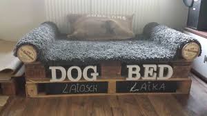 Hundebett selber bauen 4 tolle ideen aus holz meinhund24. Hundebett Fur Zwei Aus Paletten Papprollen Teppich Hunde Bett Hundebett Hundebett Paletten