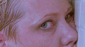Al governo la possibilità di scegliere se adottare entro il 18 aprile 2016 il decreto legislativo per il recepimento delle predette direttive e entro il 31 luglio 2016 il. Visionary Film Retracted Cinema Xcentric