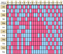 60 Unmistakable Gender Calculator By Due Date