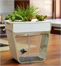 Maybe you would like to learn more about one of these? 11 Desain Aquarium Mini Dan Unik Cocok Untuk Hiasan Rumah