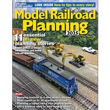 How do I check the DCC momentum settings