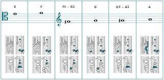 finger technique charts switch to bassoon