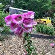 The 10 Best Landscapers In Mountain City Tn 2020 Porch