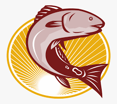 We can more easily find the images and logos you are looking for into an archive. Red Drum Clip Art Logo Ikan Vektor Png Free Transparent Clipart Clipartkey