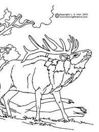 3.5 out of 5 stars 26. Leather Carving Patterns Beginner Free Printable Leather Tooling Patterns Leathermaster Com Au