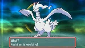 reshiram evolution related keywords suggestions reshiram