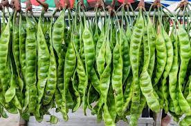Kandungan zat tryptopan dalam buah petai merupakan faktor utama yang dapat mengurangi tingkat depresi sesorang. 8 Manfaat Petai Bagi Tubuh Kita Bisa Atasi Pms Dan Bikin Awet Muda