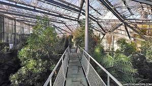 De hortus is een buitenlocatie en een zogenoemde doorstroomlocatie. Hortus Botanicus Botanical Garden In Amsterdam