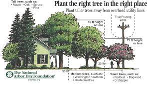 Google Image Result For Http Www Idahopower Com Images Customerservice Trees Righttreeplacelrg Gif Shade Trees Privacy Landscaping Landscape Trees