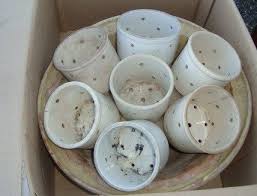 The Fabulous Faisselle Cheese Molds Went Cheese Mold How To Make Cheese Cheesemaking