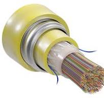 Freeform Ribbon™ Armored Indoor Riser Central Tube Cables | SEL