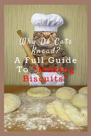 Why Do Cats Knead A Full Guide To Making Biscuits Cats Knead How To Make Biscuits Cats