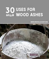 30 Uses For Wood Ash Ash Wood Uses For Ashes Homesteading