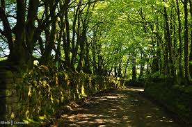 St Breward To King Arthur S Hall Circular Walk 5 Miles Easy Moderate Ends Beside The Pub Http Iwkc Co Places To Travel King Arthur Devon And Cornwall