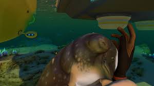 Just finished the rocket, went to play with my cuddlefish one last time.  Saw there was a new option for "Say Farewell". These developers are  monsters 😭😭😭 : r/subnautica