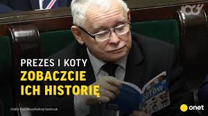 Mimo wszystko, na jarosława kaczyńskiego czeka w. Wszystkie Koty Jaroslawa Kaczynskiego Wiadomosci