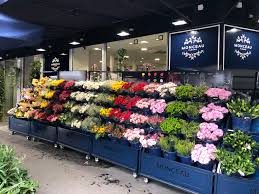 モンソーフルール