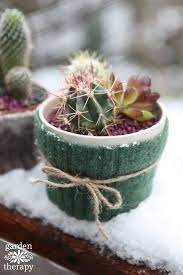 Planting cactus definitely presents a few challenges, but hopefully these simple tricks and techniques will help make your next planting session a success! Keep Your Plants Toasty In These Felted Cactus Sweaters Garden Therapy Plants Plant Pot Covers Plastic Plant Pots