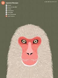 Pin By Hanna Steiner On Loving Japanese Macaques Monkey Illustration Animal Illustration Japanese Illustration