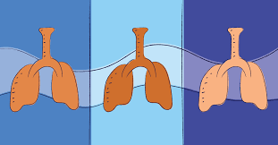 Image result for Inhalation Challenge Test